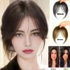 Natural Clip-In Front Bangs Hair Topper  – Black & Light Brown (ফ্রন্ট ব্যাং হেয়ার এক্সটেনশন)